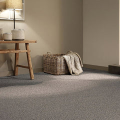 StainGuard Harvest Heathers Supreme Carpet